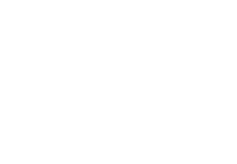 SB logo_one color white
