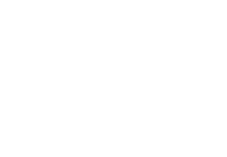SB logo_one color white