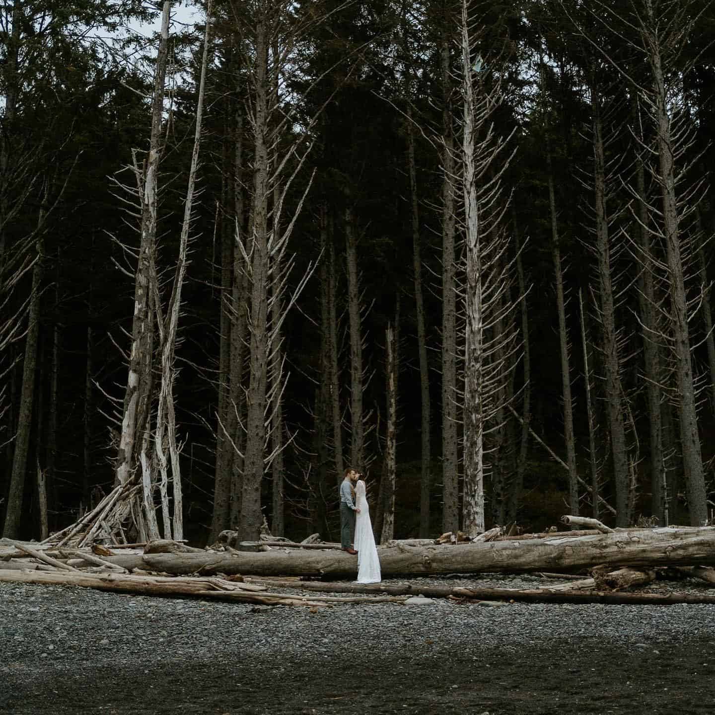 Wedding in Forest